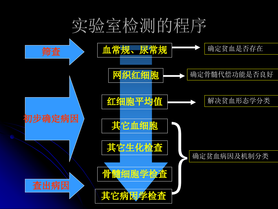 贫血实验室检查的选择和应用.ppt 第3页