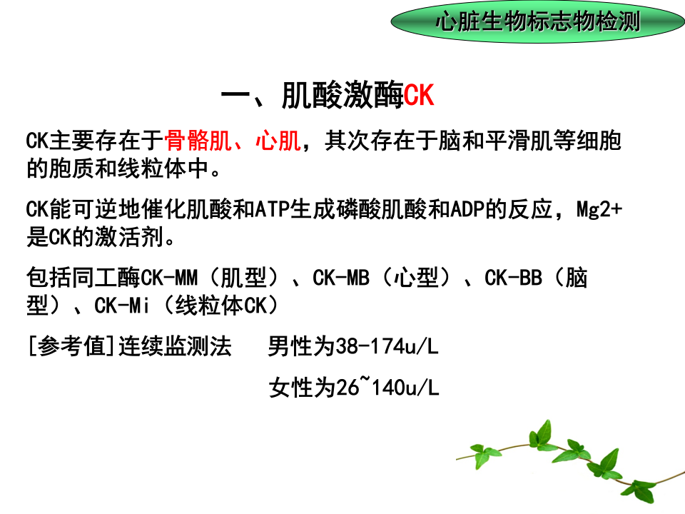 心肌酶学.ppt 第4页