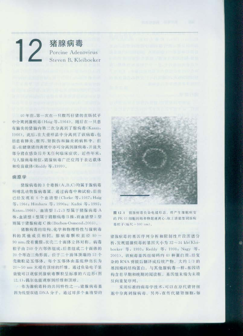 猪病学 第九版 第二部分 .pdf 第2页