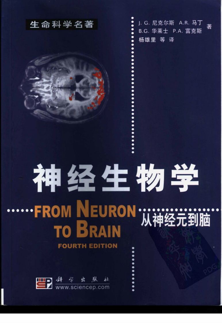 神经生物学-从神经元到脑.pdf 第1页