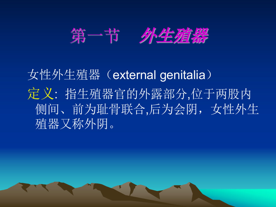 1）八版解剖新.ppt 第3页