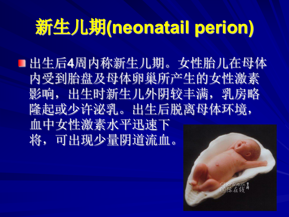 2）新八版生理.ppt 第5页