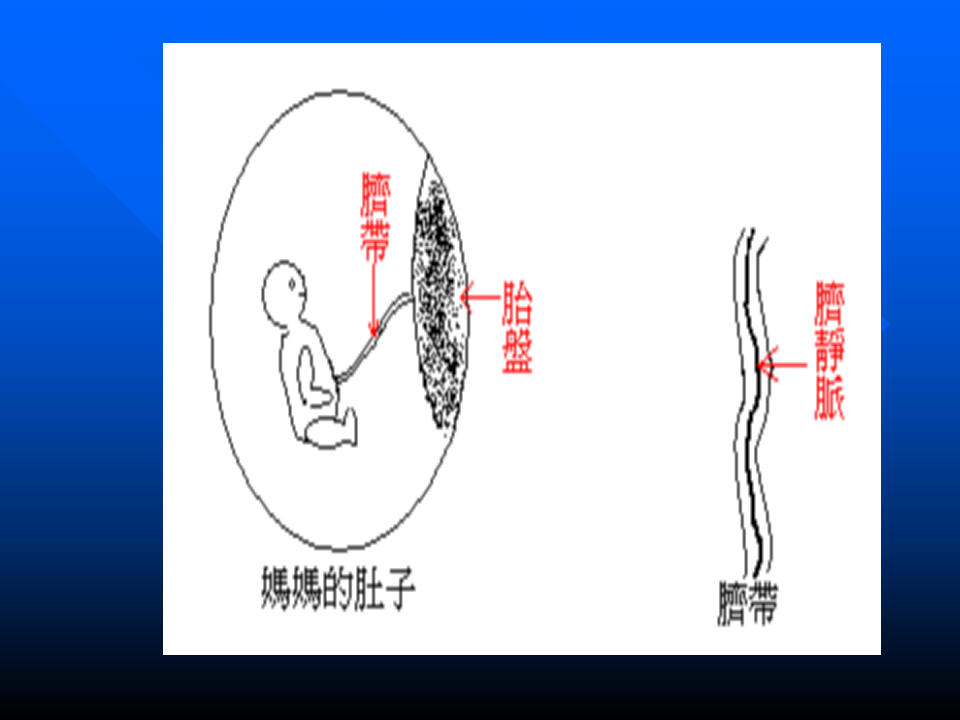 3)妊生5 改完.ppt 第4页