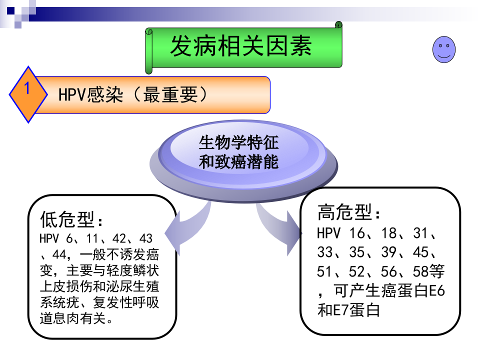 16)宫颈癌(新)  我.PPT 第5页