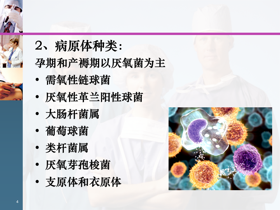 18)异常产褥、阴道炎.ppt 第4页