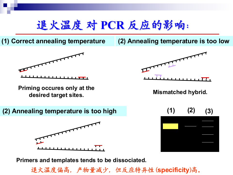 20140918103019886.ppt 第5页