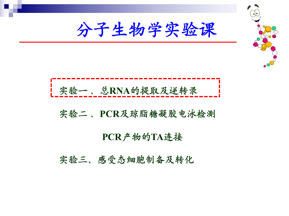 第一次实验课.pptx 第5页