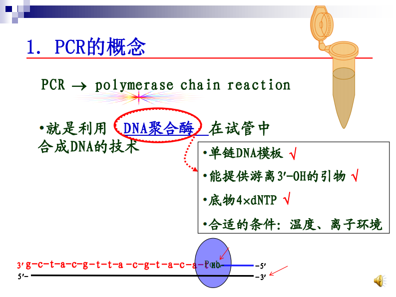 有声 （1）PCR原理及反应体系20140904.pdf 第2页