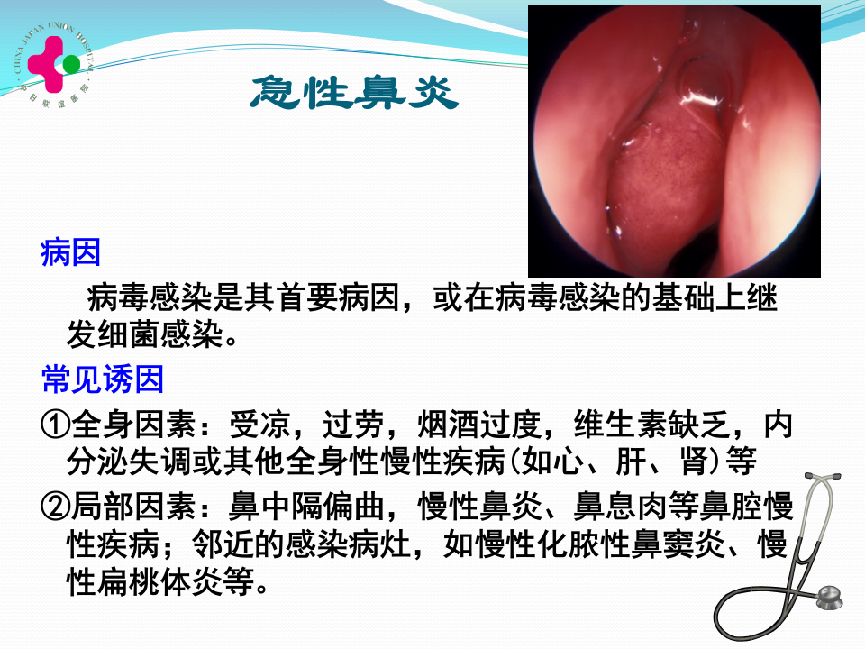 1)2011级临床口腔-慢性鼻炎变应性鼻炎鼻息肉-教室.ppt 第3页