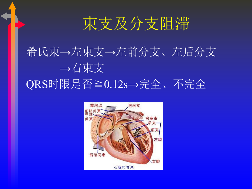 6)心电图－第六次课（心律失常三）.ppt 第2页