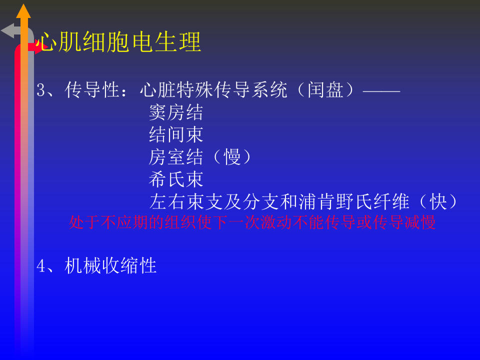 心电图－第四次课.ppt 第4页