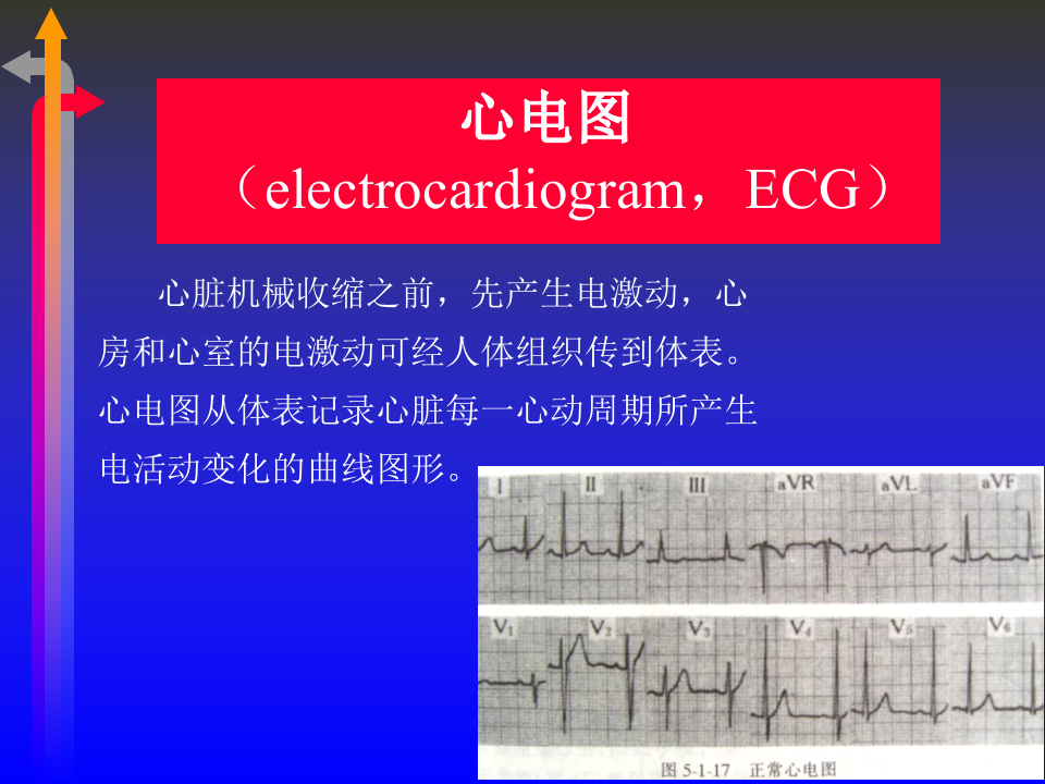 心电图－第一次课（1、2节）.ppt 第2页
