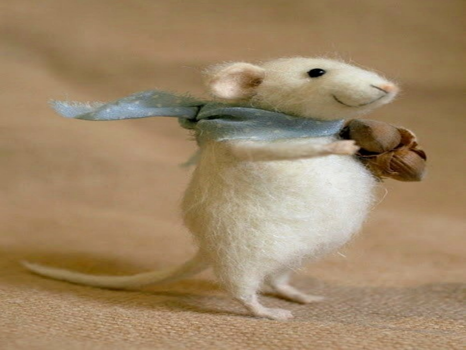 4)肾综合症出血热2015.ppt 第1页