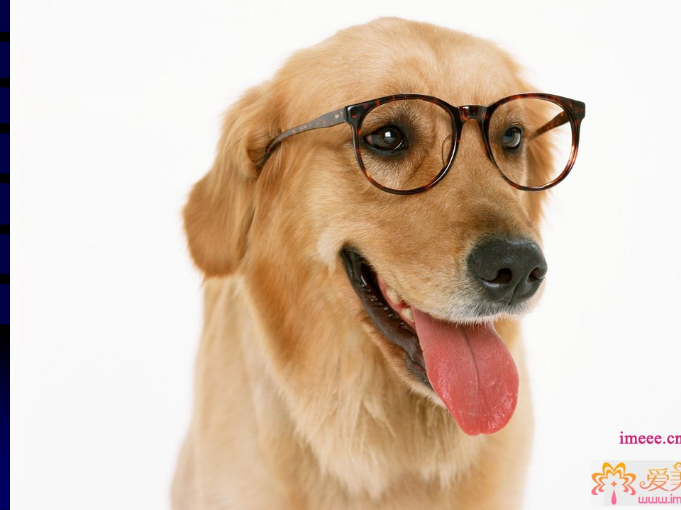 6)-狂犬病 2.ppt 第1页