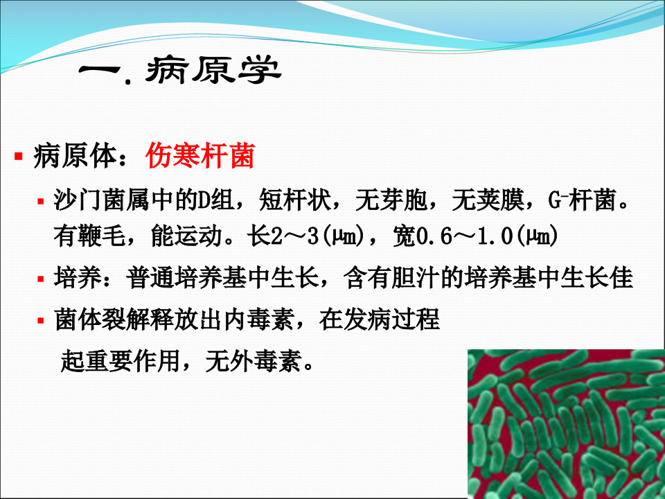 7)伤寒1.ppt 第4页