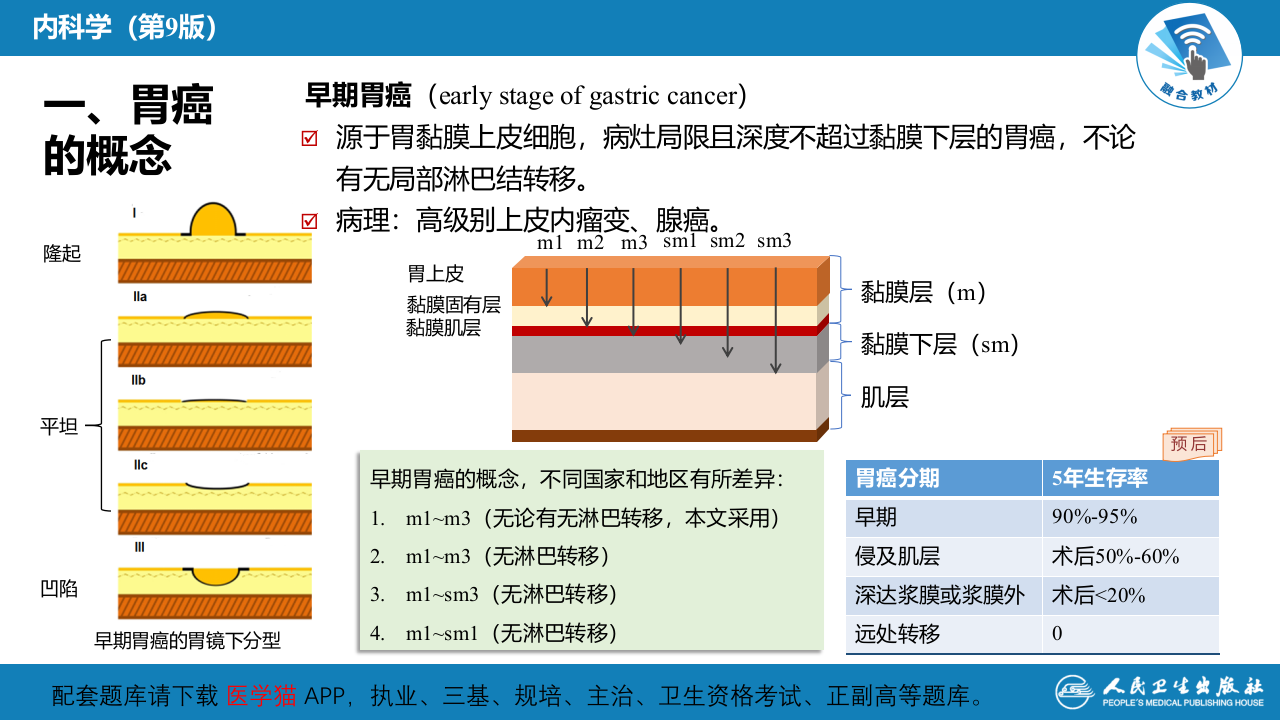 第六章  胃癌.pptx 第4页