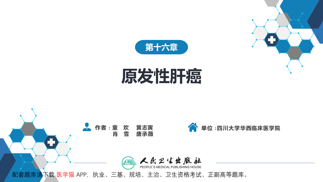 第十六章  原发性肝癌.pptx 第2页