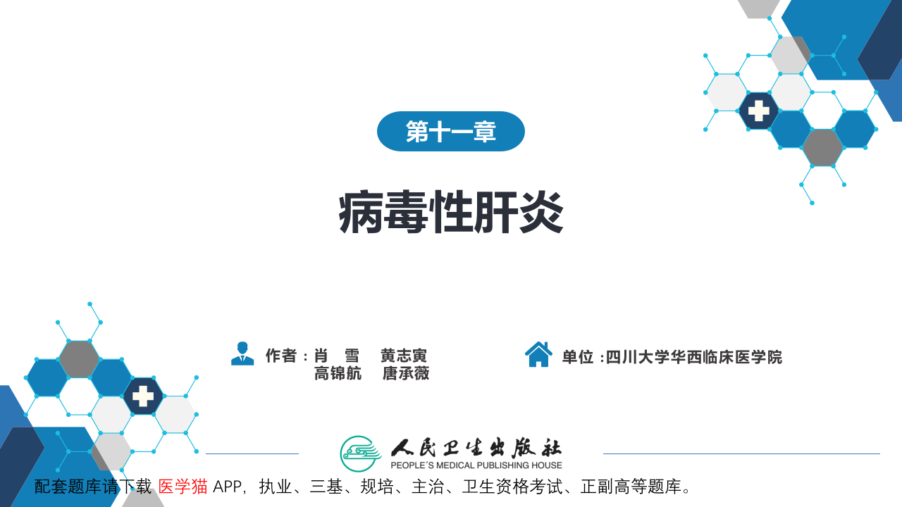 第十一章  病毒性肝炎.pptx 第2页