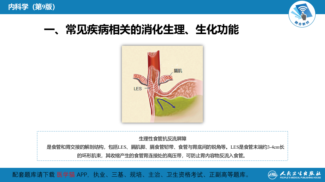 第一章  总论.pptx 第4页