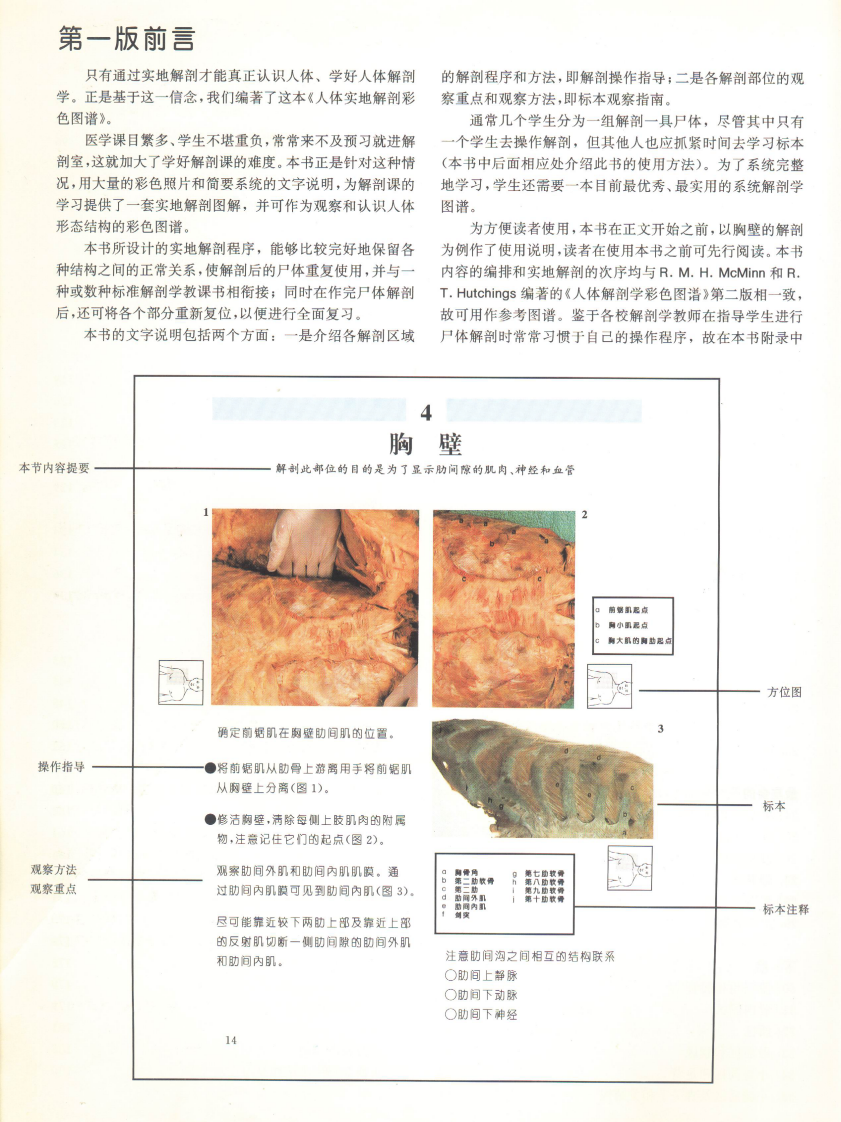 人体实地解剖彩色图谱（第二版）.pdf 第5页
