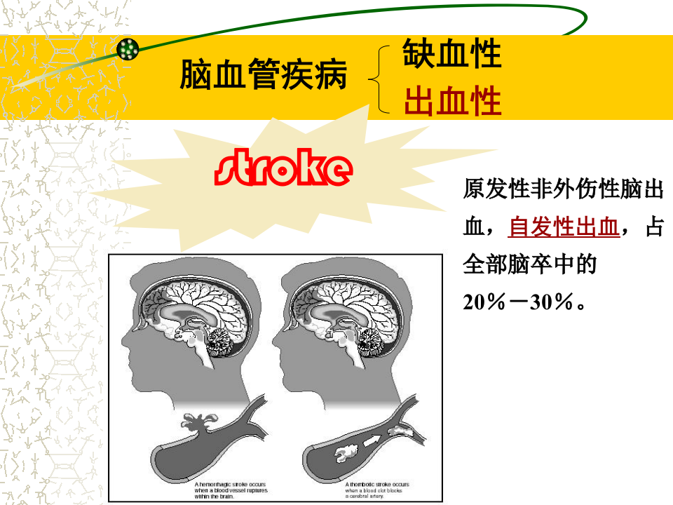 4)春季2012级放射口腔CH.ppt 第2页