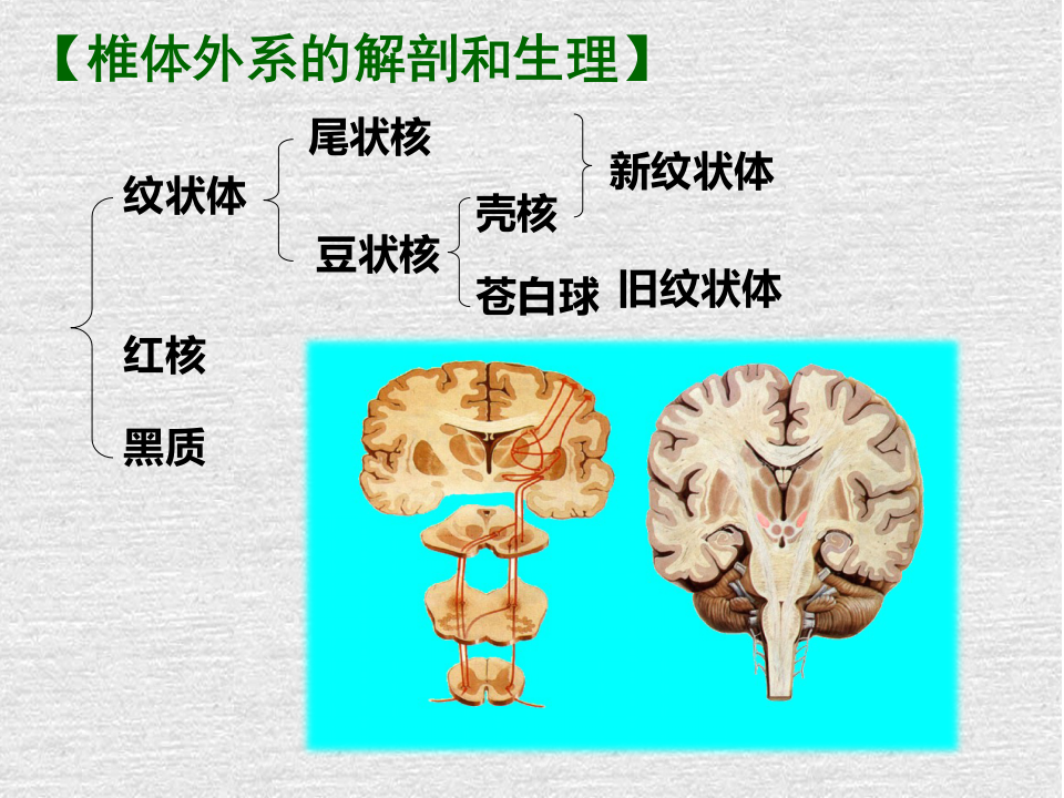 PD-mj-20153.ppt 第5页