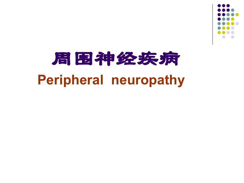 周围神经概述.ppt 第1页
