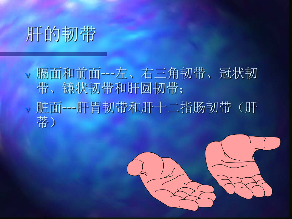 内科-肝疾病.ppt 第4页