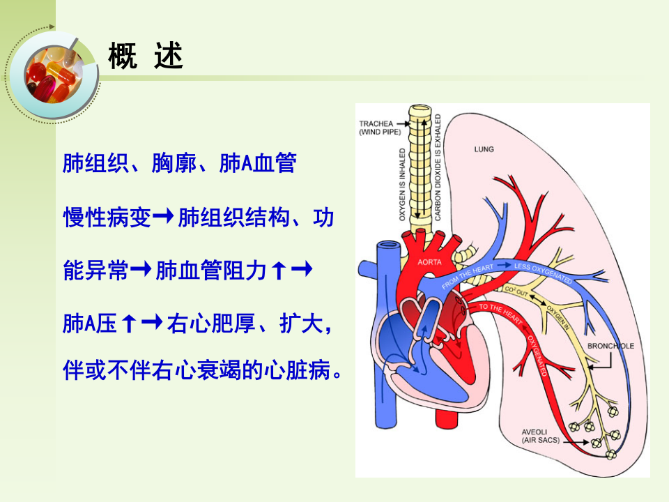 呼吸内科-肺源性心脏病病人的护理.ppt 第2页
