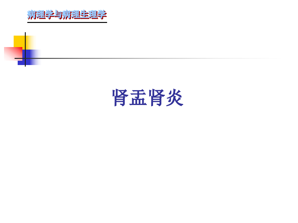 105肾内科-肾盂肾炎1.ppt 第1页