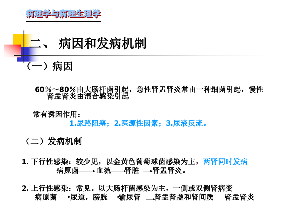 105肾内科-肾盂肾炎1.ppt 第3页