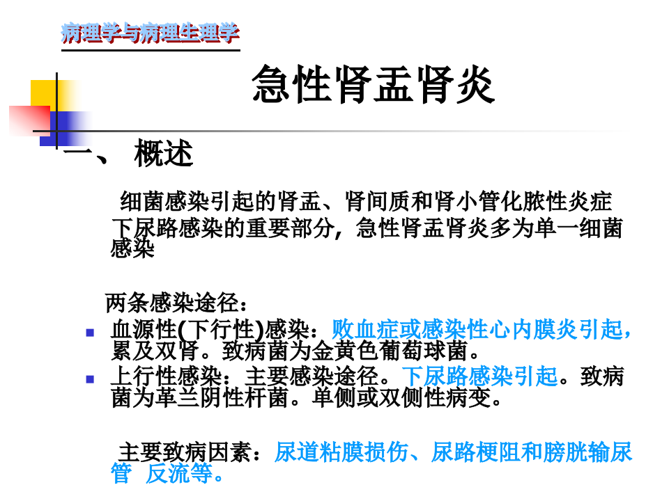 105肾内科-肾盂肾炎1.ppt 第5页