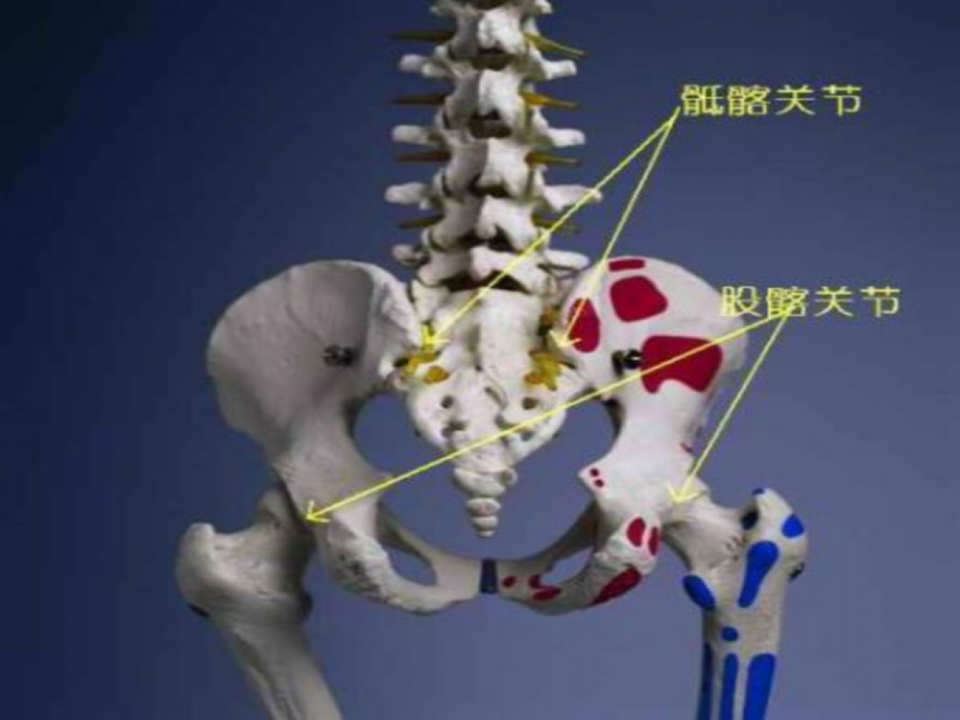 骨科-强直性脊柱炎.ppt 第4页