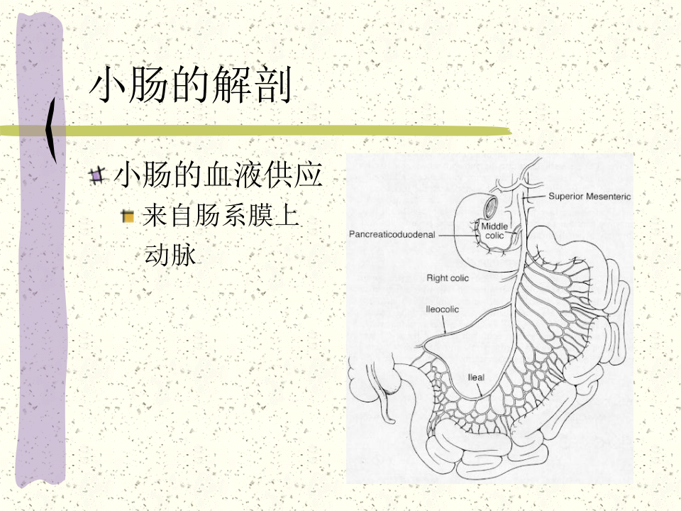 小肠疾病.pptx 第5页
