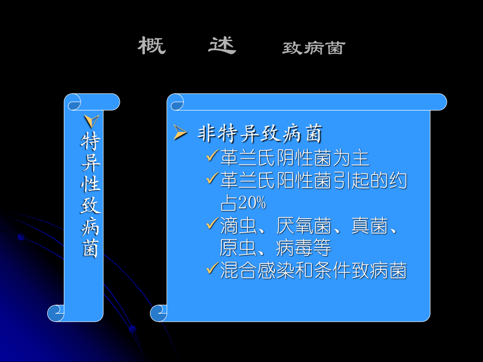 泌尿科-泌尿、男性生殖系统感染七年制.ppt 第3页