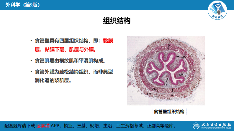 第二十七章 食管疾病.pdf 第5页
