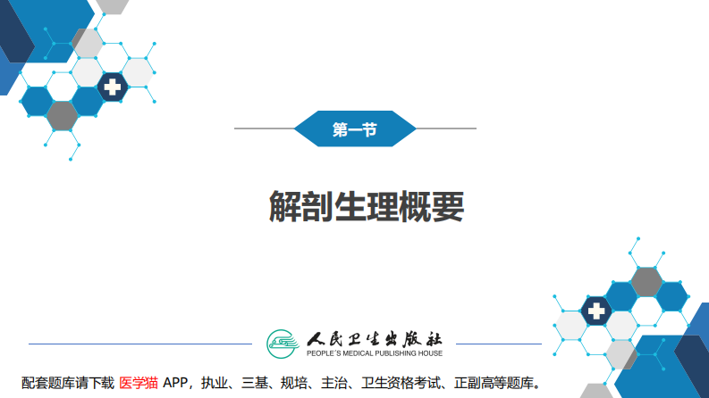 第三十八章 肝疾病 第一、二、三节.pdf 第5页