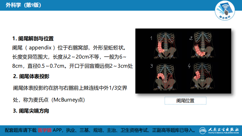 第三十六章 阑尾疾病 .pdf 第5页