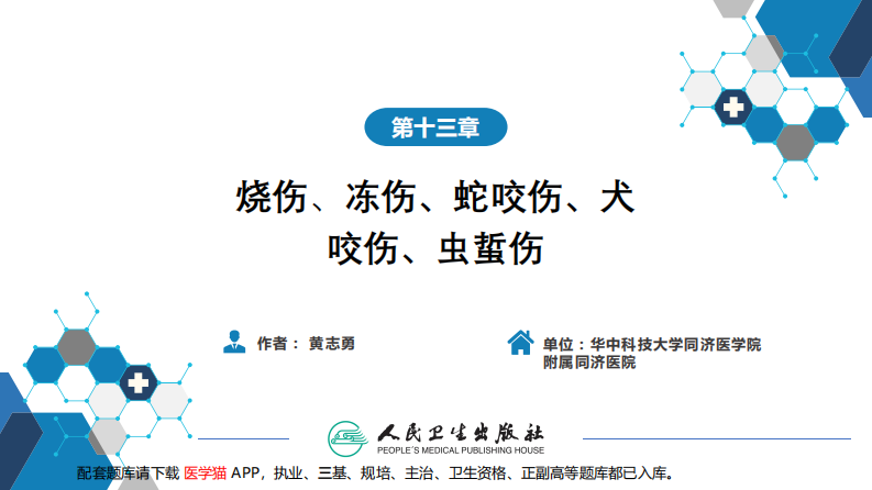 第十三章 烧伤、冻伤、蛇咬伤、犬咬伤、虫蛰伤 第四、五、六节.pdf 第2页