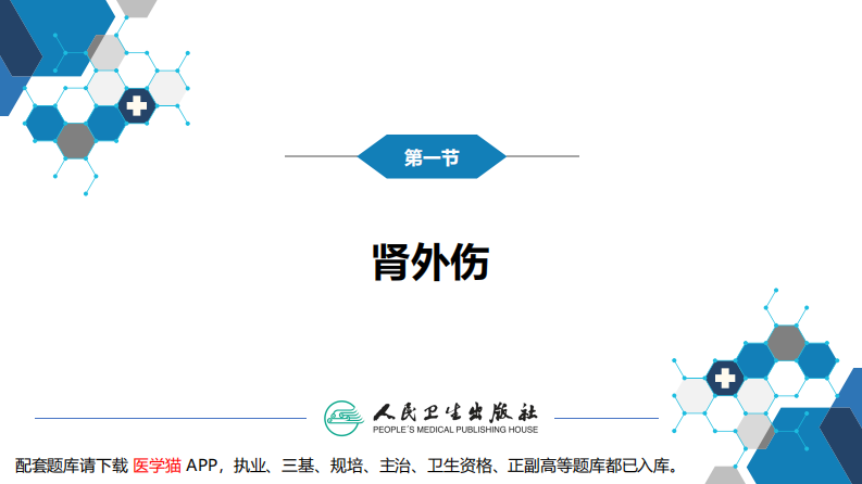 第四十八章 泌尿系统外伤.pdf 第5页