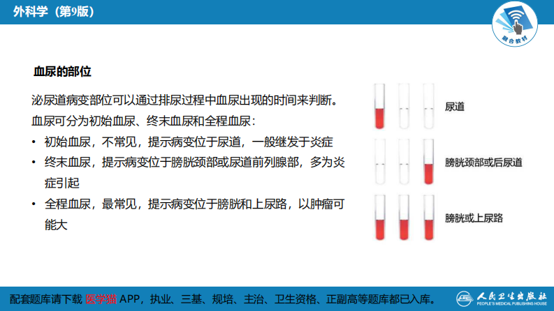 第四十六章 血尿的病因分析.pdf 第5页