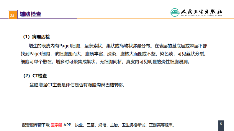 第五十三章 泌尿、男生殖系统肿瘤 案例分析-阴囊Paget病.pdf 第5页