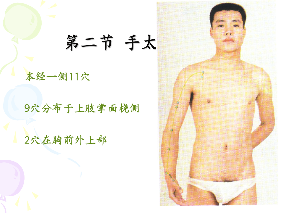 81人体经络穴位图谱1肺经.ppt 第4页