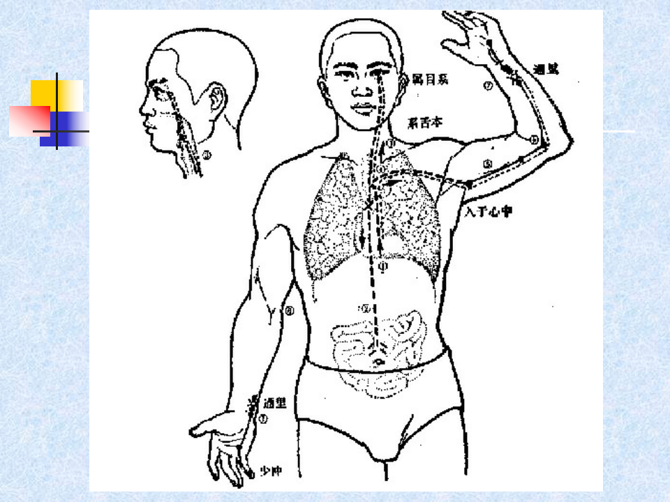 82人体经络穴位图谱5心经.ppt 第4页