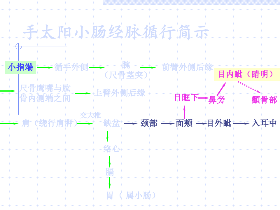 83人体经络穴位图谱6小肠经.ppt 第3页