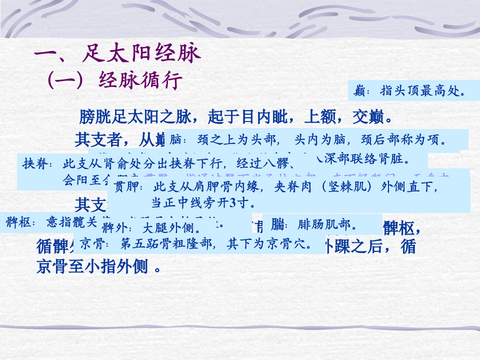 84人体经络穴位图谱7膀胱经.ppt 第3页