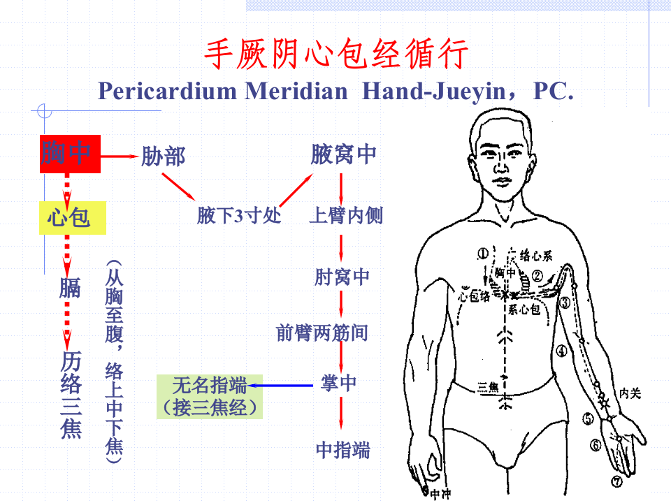 86人体经络穴位图谱9心包经.ppt 第2页
