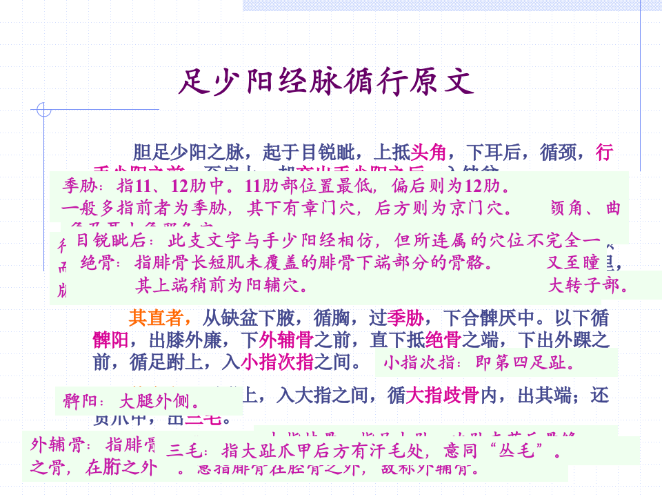 88人体经络穴位图谱11胆经.ppt 第2页