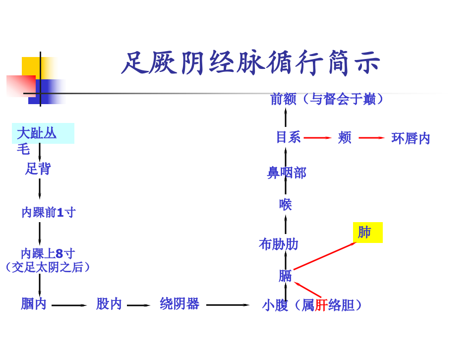89人体经络穴位图谱12肝经.ppt 第3页
