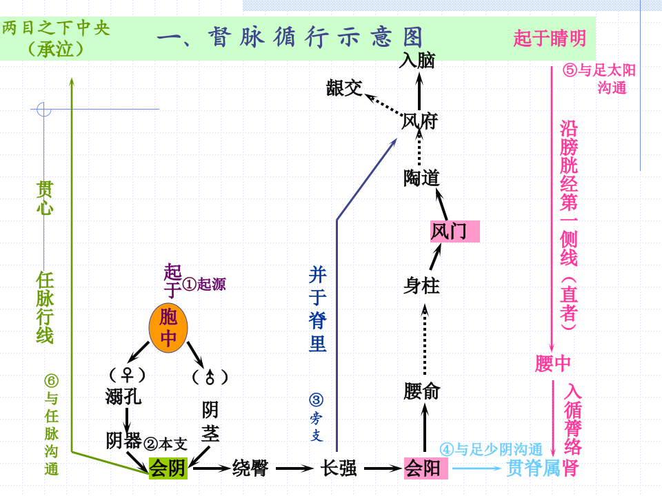 90人体经络穴位图谱13督脉.ppt 第4页